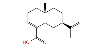 Selina-3,11-dien-14-oic acid